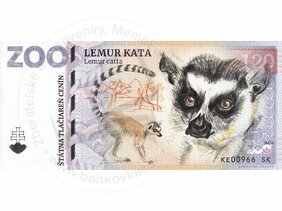 120 ZOO KOŠICE (Lemur kata) 2023