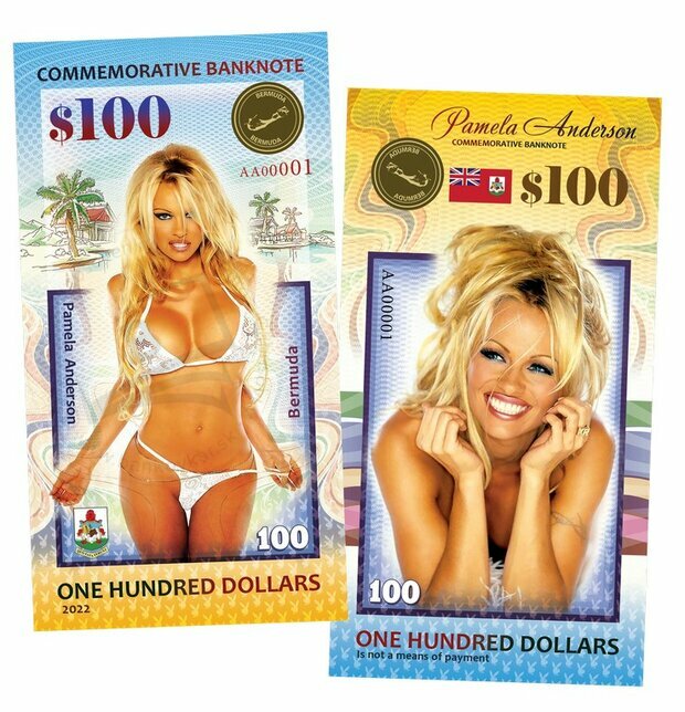 100 Dollars Pamela Anderson