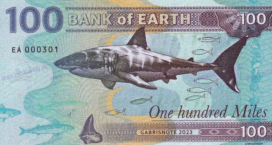 100 Miles BANK OF EARTH MAGNETKA