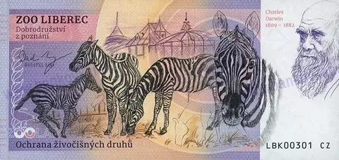 100 ZOO LIBEREC Pásovec kulovitý 2025