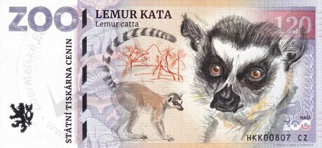 120 ZOO DVUR KRÁLOVÉ Lemur kata