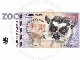 120 ZOO DVŮR KRÁLOVÉ n/L. (Lemur kata) 2022
