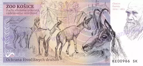 120 ZOO Košice Lemur kata