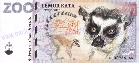 120 ZOO Košice Lemur kata