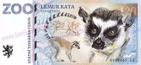 120 ZOO OSTRAVA Lemur kata 2023