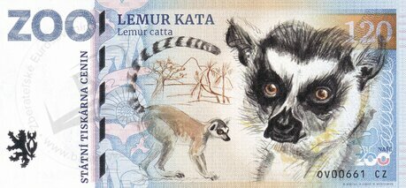 120 ZOO OSTRAVA Lemur kata 2023