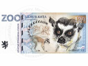 120 ZOO OSTRAVA (Lemur kata) 2023