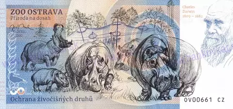 120 ZOO OSTRAVA Lemur kata 2023