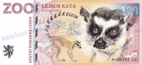 120 ZOO PlLASY Lemur kata 2026