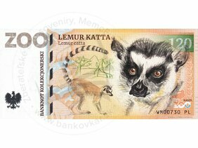 120 ZOO WARSZAWA (Lemur katta) 2023