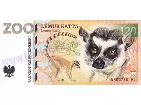 120 ZOO WARSZAWA (Lemur katta) 2023