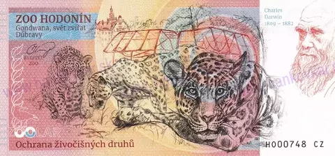 130 ZOO HODONÍN Lev berberský 2025