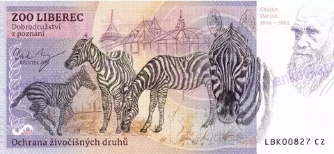 130 ZOO LIBEREC Lev berberský