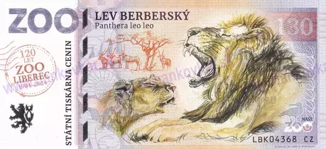 130 ZOO LIBEREC Lev berberský