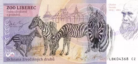 130 ZOO LIBEREC Lev berberský