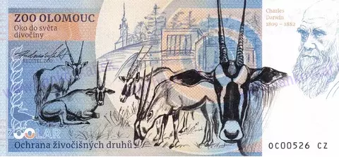 130 ZOO OLOMOUC Lev berberský 2023