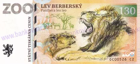 130 ZOO OLOMOUC Lev berberský 2023