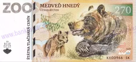 140 ZOO Košice Medveď hnedý 2025