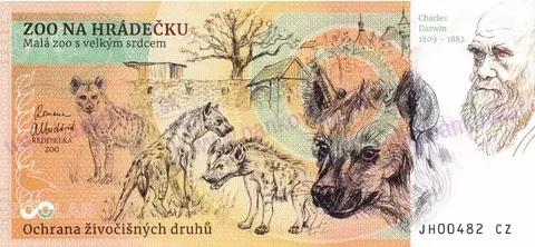 140 ZOO NA HRÁDEČKU Surikata vlnkavá 2023