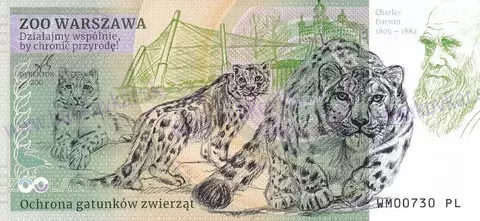 140 ZOO WARSZAWA Surykatka szara