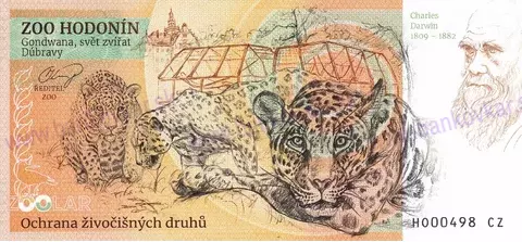 150 ZOO HODONÍN Tygr ussurijský 2025