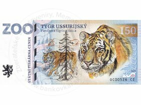 150 ZOO OLOMOUC (Tygr ussurijský) 2023