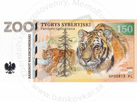 150 ZOO OPOLE (Tygrys syberyjski) 2022