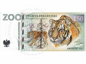 150 ZOO WARSZAWA (Tygrys syberyjski) 2023