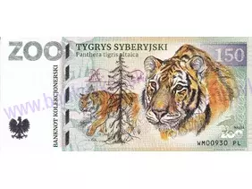 150 ZOO WARSZAWA (Tygrys syberyjski) 2023