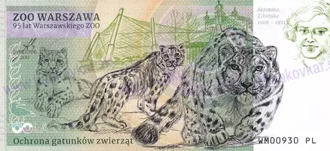 150 ZOO Warszawa Tygrys syberyjski