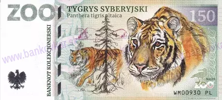 150 ZOO Warszawa Tygrys syberyjski