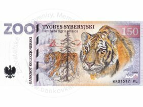 150 ZOO WROCŁAW (Tygrys syberyjski) 2022
