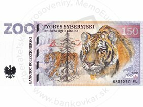 150 ZOO WROCLAW (Tygrys syberyjski) 2022