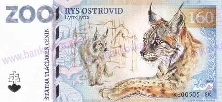 160 ZOO KE Rys ostrovid-1