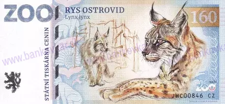 160 ZOO KE Rys ostrovid-1