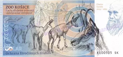 160 ZOO KE Rys ostrovid-2