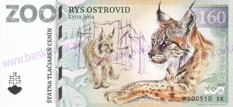 160 ZOO SNV Rys ostrovid-1