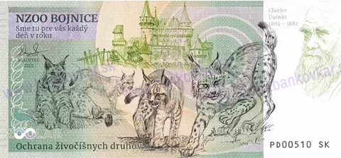 160 ZOO SNV Rys ostrovid-2