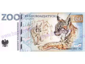 160 ZOO WROCŁAW (Ryś euroazjatycki) 2024