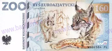 160 ZOO WROCŁAW (Ryś euroazjatycki) 2024 160 ZOO WROCŁAW (Ryś euroazjatycki) 2024