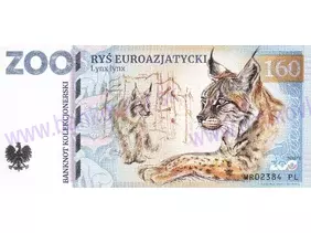 160 ZOO WROCŁAW (Ryś euroazjatycki) 2024