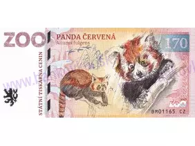 170 ZOO BRNO (Panda červená) 2024