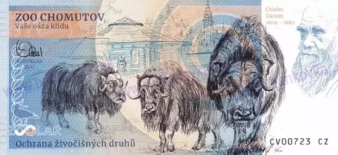 170 ZOO CHOMUTOV Panda červená 2023