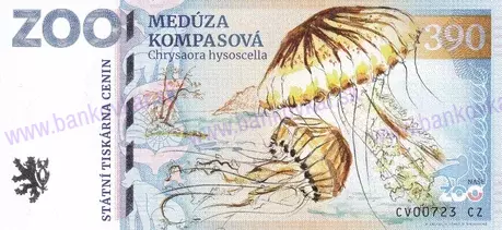 170 ZOO CHOMUTOV Panda červená 2023