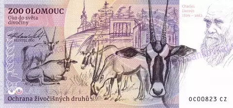 170 ZOO OLOMOUC Panda červená