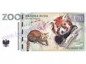 170 ZOO PŁOCK (Pandka ruda) 2023
