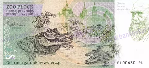 170 ZOO PŁOCK Pandka ruda