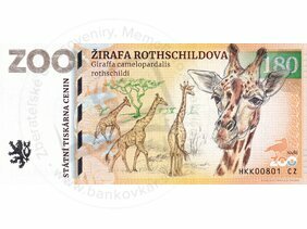 180 ZOO DVŮR KRÁLOVÉ n/L. (Žirafa Rothschildova) 2022