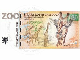 180 ZOO OLOMOUC (Žirafa Rothschildova) 2022