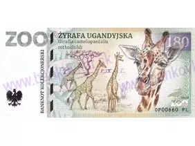 180 ZOO OPOLE (Žyrafa ugandyjska) 2022